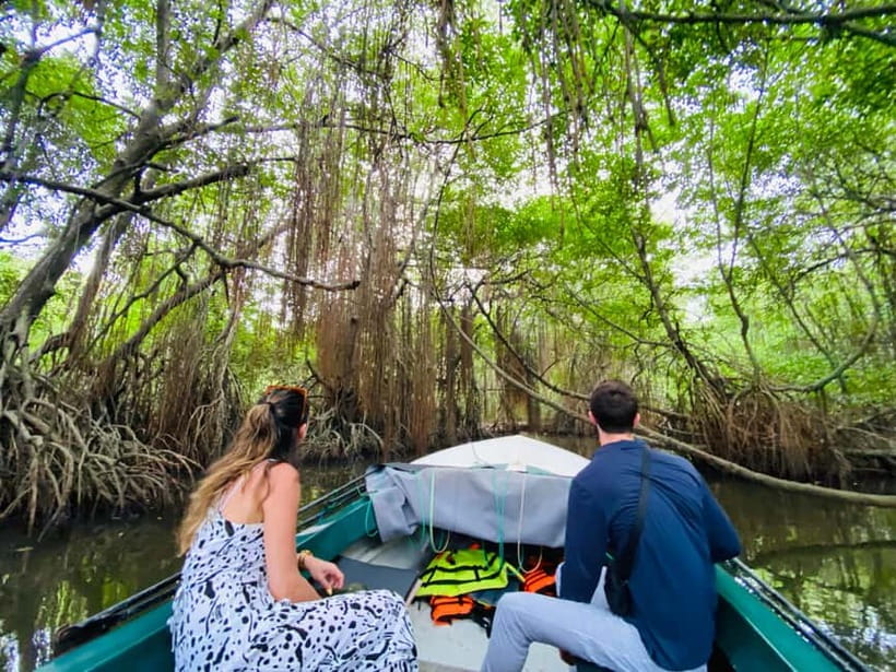 Bentota River Safari: Discover Wildlife & Mangroves by Boat - What the guide adds to the experience