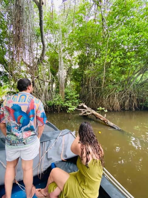 Bentota River Safari: Discover Wildlife & Mangroves by Boat - Comfort, clothing, and photography