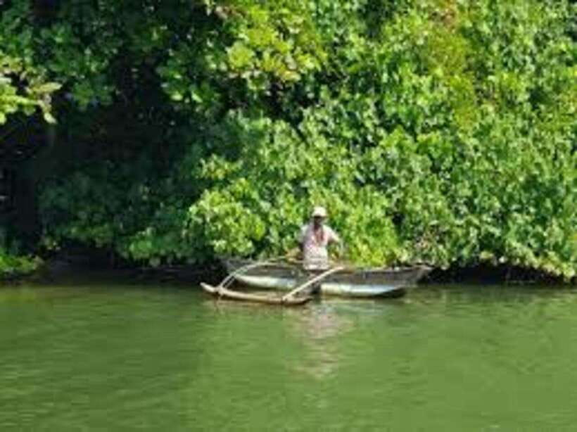 Bentota: River Safari with Hotel Pickup and Drop-Off - What the Bentota River safari is really like