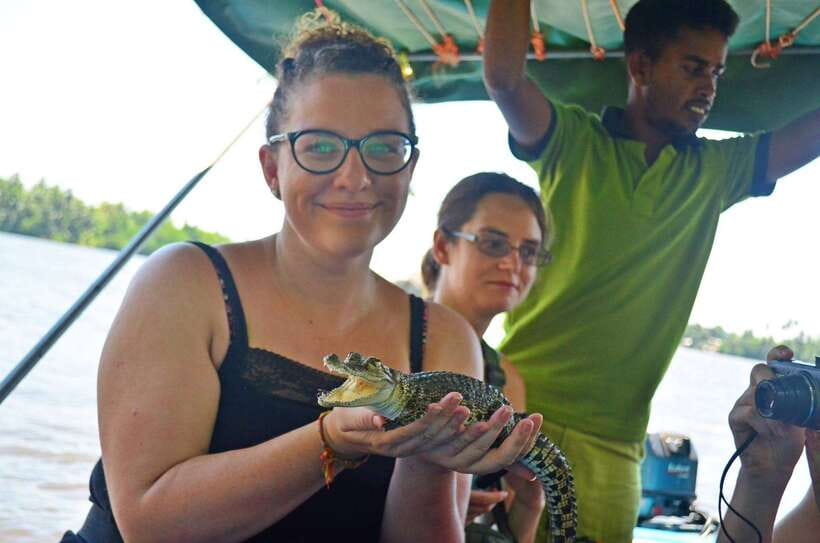 Bentota River Safari with Mangrove and Wildlife Encounter - Hotel pickup from Wadduwa to Ambalangoda