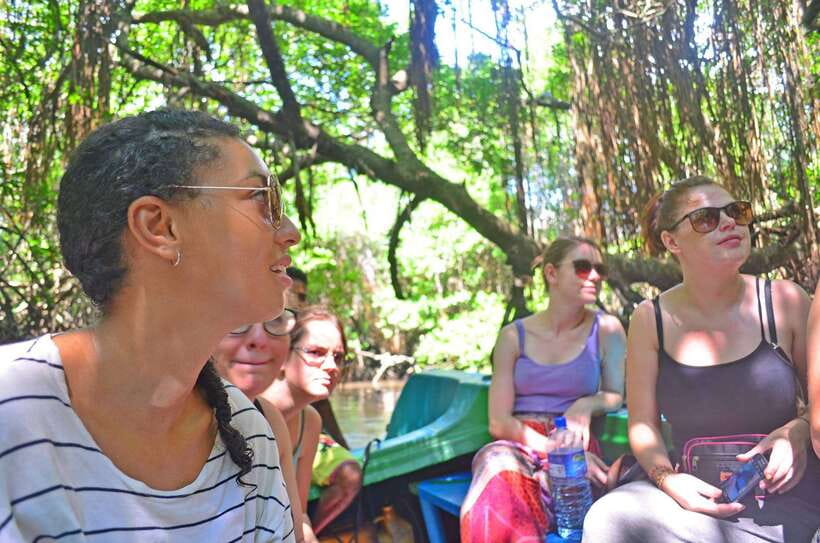 Bentota River Safari with Mangrove and Wildlife Encounter - Crocodiles, monitors, monkeys, and birds