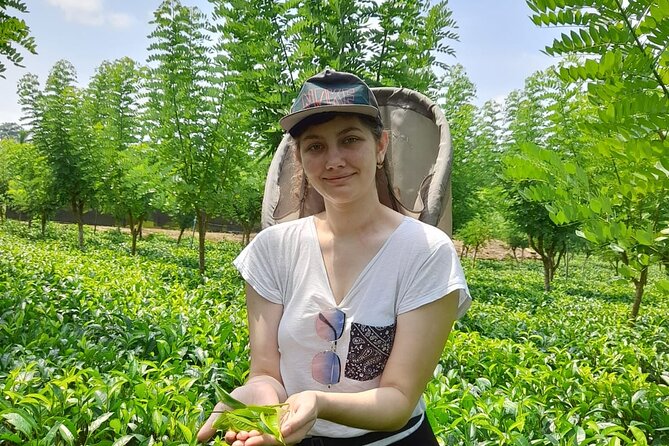 Bentota Village Tour with River Safari & Tea Plantation/Factory - All Inclusive - Meeting the giant Buddha at Kande Viharaya