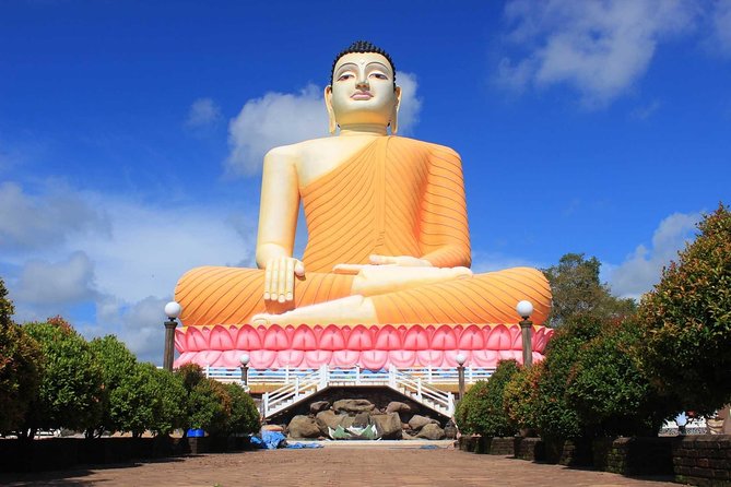 Bentota Village Tour with River Safari & Tea Plantation/Factory - All Inclusive - What the private format adds