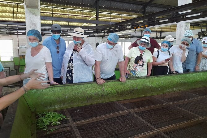 Bentota Village Tour with River Safari & Tea Plantation/Factory - All Inclusive - Seeing how village skills become local products