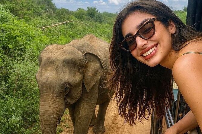 Best Value Yala Safari: Spot Leopards, Elephants & Bears (Shared) - Why Yala is worth your morning
