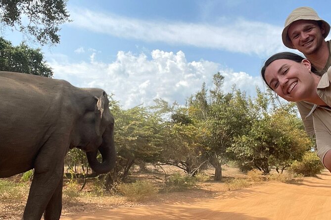 Best Value Yala Safari: Spot Leopards, Elephants & Bears (Shared) - Choosing six hours or twelve