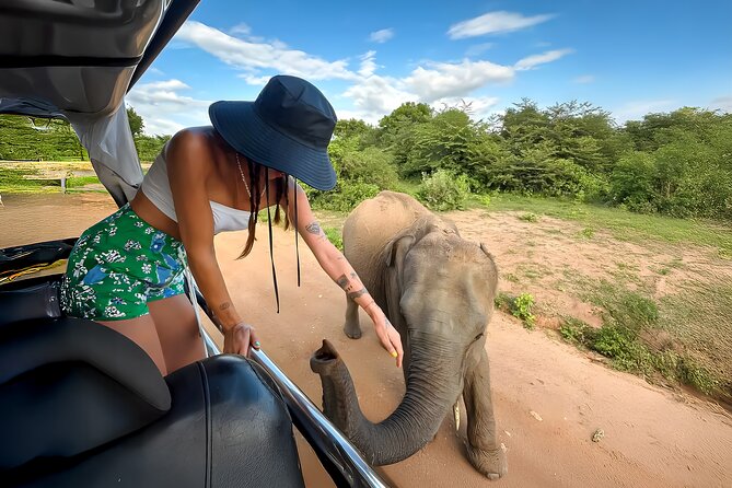 Best Yala Shared Leopard Safari: Tissamaharama Wildlife Tours - Food, water, and the long day