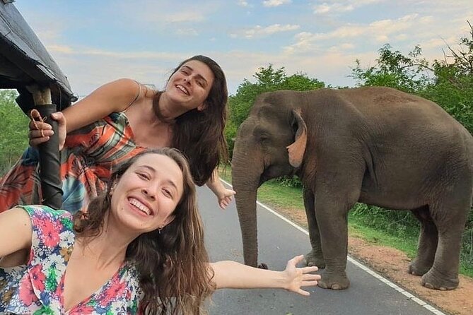 Budget Tours Sri Lanka with 7 Nights accommodation - Day 1: elephants around Habarana and Minneriya