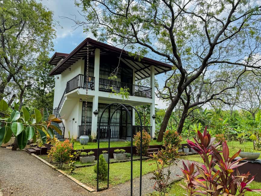 Budget Yala Safari with Accomadation & Meals Included - Why this $25 Yala package is good value