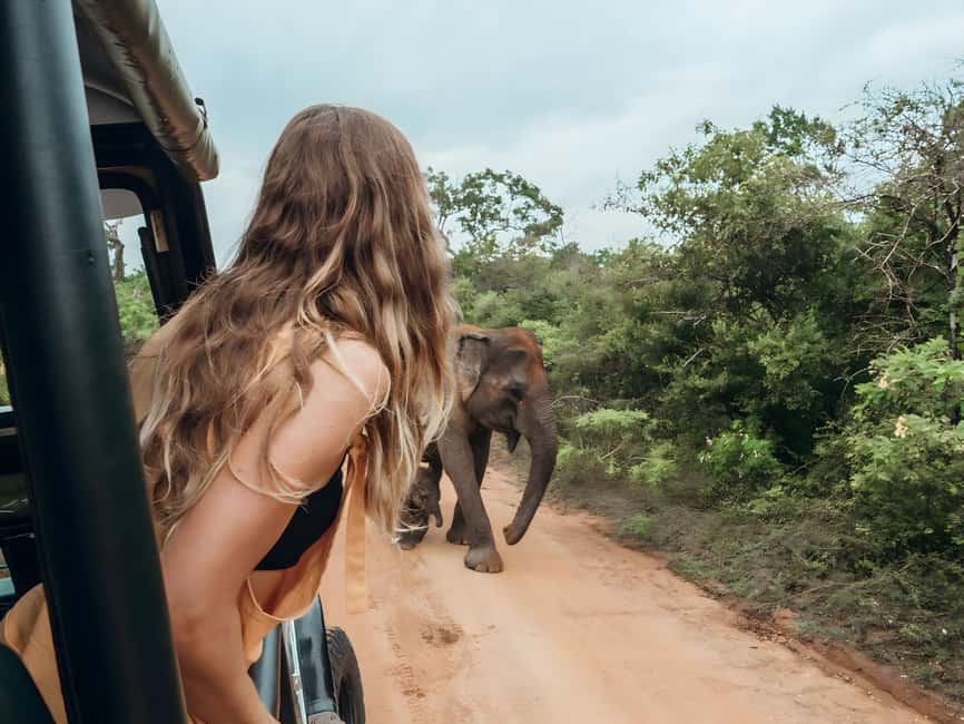 Budget Yala Safari with Accomadation & Meals Included - Choosing between the hostel and Farm Villa