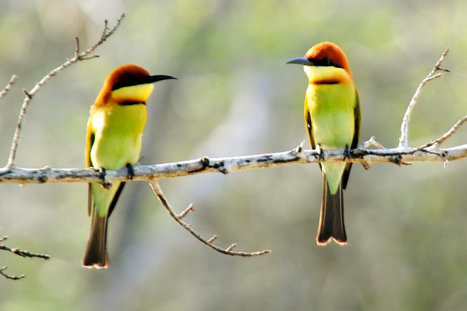 Bundala Birding Paradise - All Inclusive Tour - What happens with Yala Wild Safaris