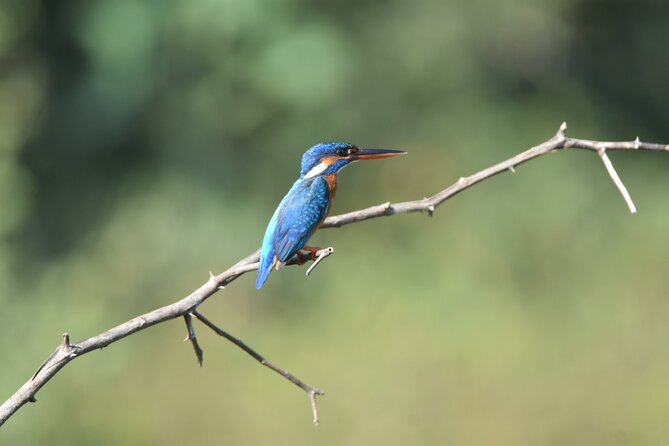 Bundala Birding Paradise - All Inclusive Tour - Who will get the most from this safari?