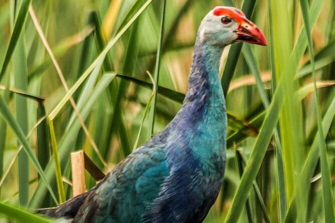 Bundala National Park by Ajith Safari - The 20 to 30-minute break near Pathiraja Beach