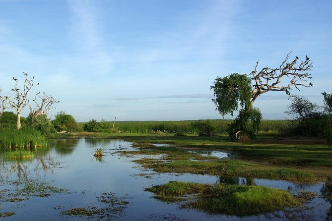 Bundala National Park by Ajith Safari - The 5 a.m. start from Tissamaharama