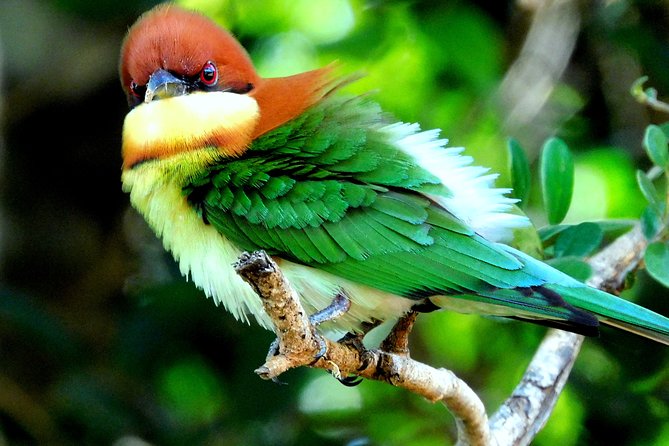 Bundala National Park Safari (PRIVATE TOURS)- Morning & Afternoon - Why Bundala makes a fine change from Yala