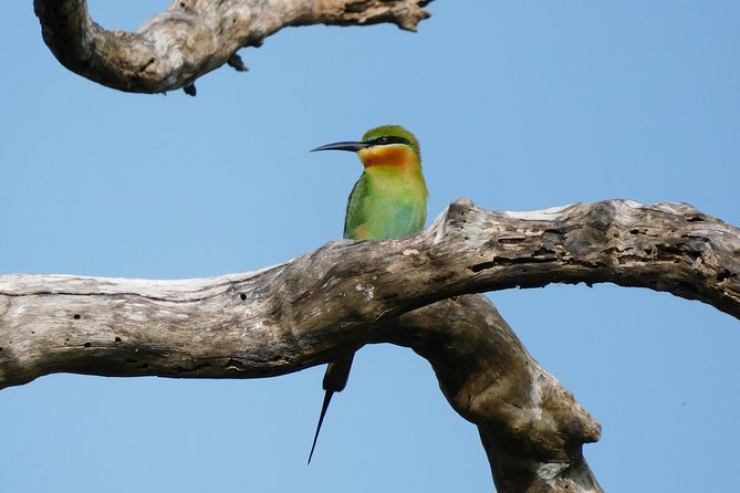 Bundala National Park Safari (PRIVATE TOURS)- Morning & Afternoon - The value of a $40 tour with a $25 park fee