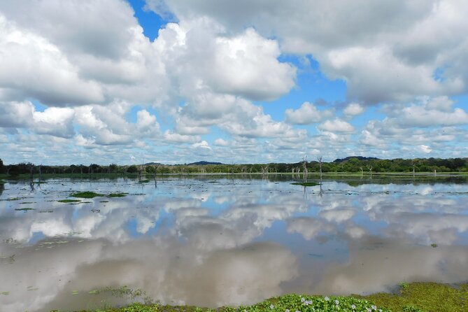 Bundala National Park : Safari Tour with Entrance tickets & Jeep - How the operator’s feedback helps you judge the service