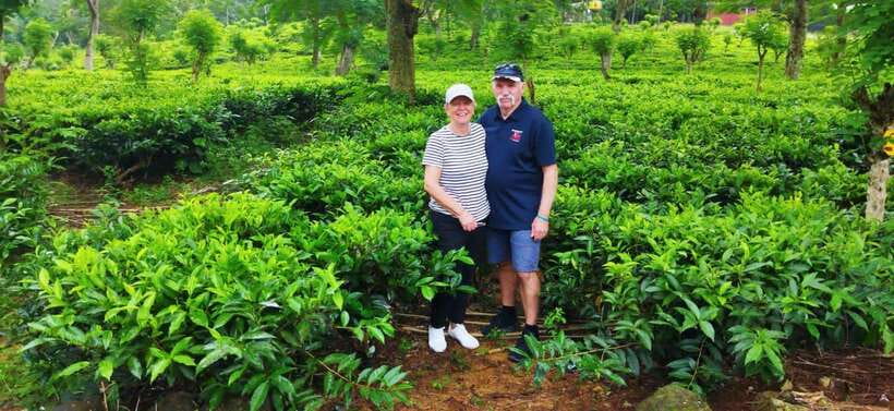 Ceylon Tea Experience from Colombo Port Passenger Terminal - The Sri Lankan Village View