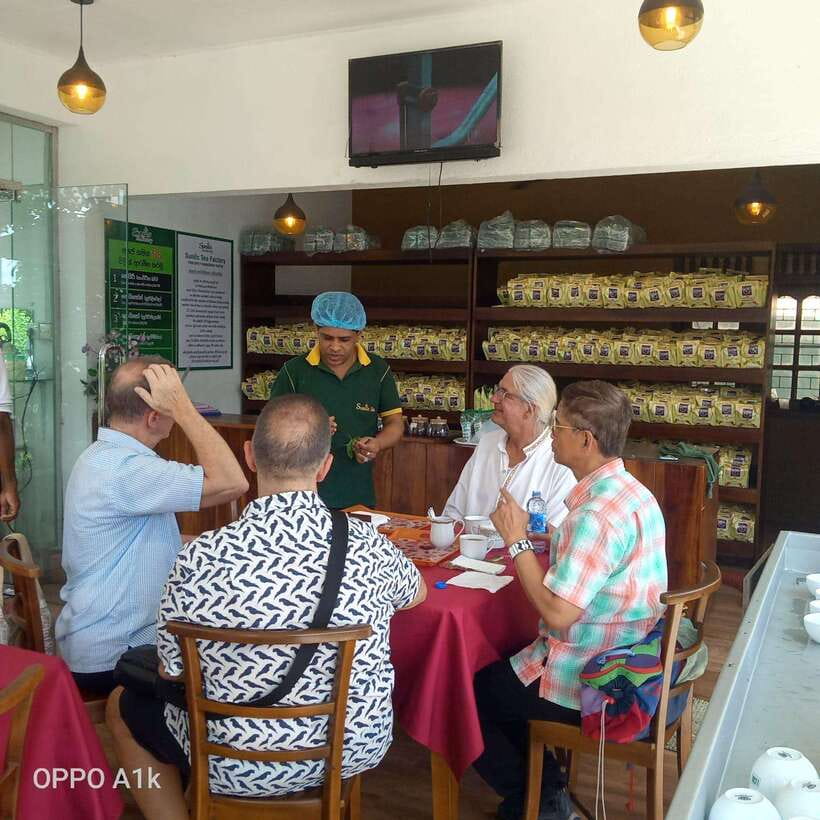 Ceylon Tea Experience from Colombo Port Passenger Terminal - The Port Pickup Detail You Must Get Right