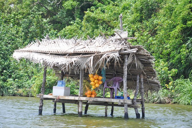 Coastal Ride to Galle from Bentota - Starting with the Madu River mangroves