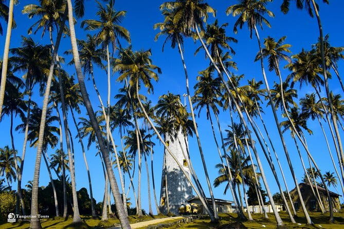 Colombo City Tour By Tuk Tuk (Include Lunch)Morning & Evening - Tea, a Sri Lankan meal, and the real value of $34.90