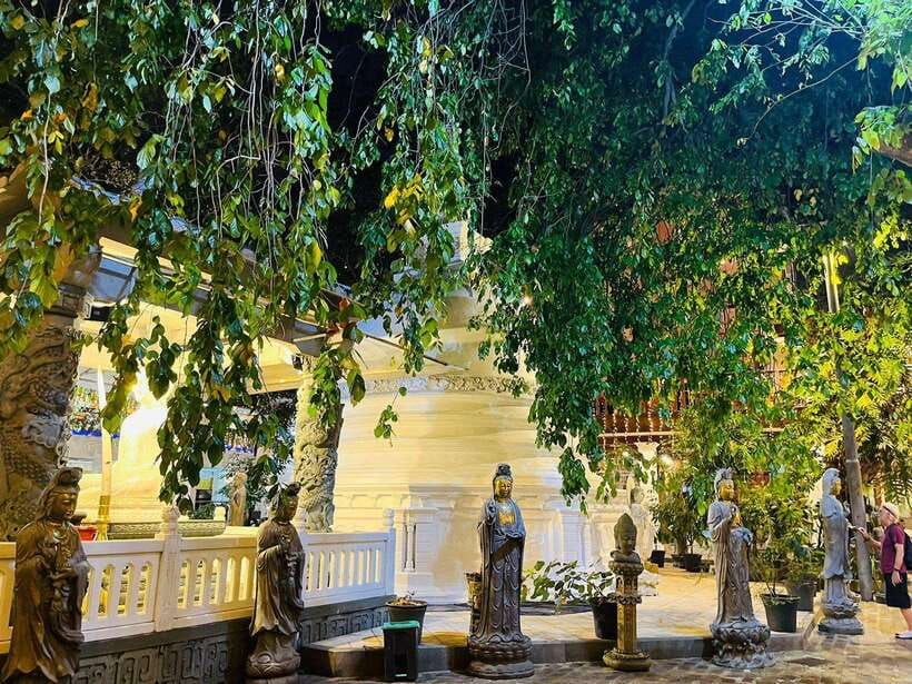 Colombo City Tour with Entry Tickets & Hotel Pickup - What a private Colombo tour can show you
