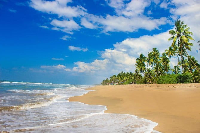 Colombo (CMB) Airport to Kandy City Private Transfer - The road to Kandy is part of the experience