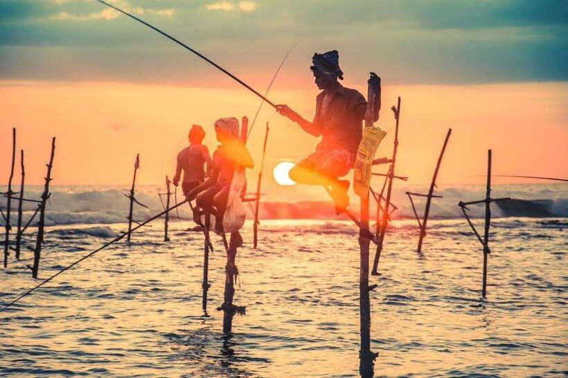 Colombo-Galle Fort, Boat Safari, Turtles, Amazing Group Tour - The turtle center at Kosgoda