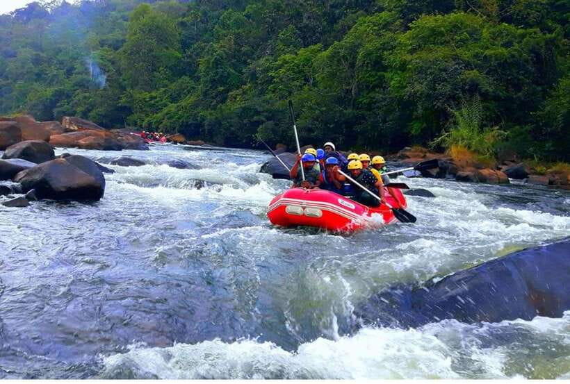 Colombo/ Negombo: Kithulgala White Water Rafting Adventure - Starting from Colombo, Negombo, or the coast