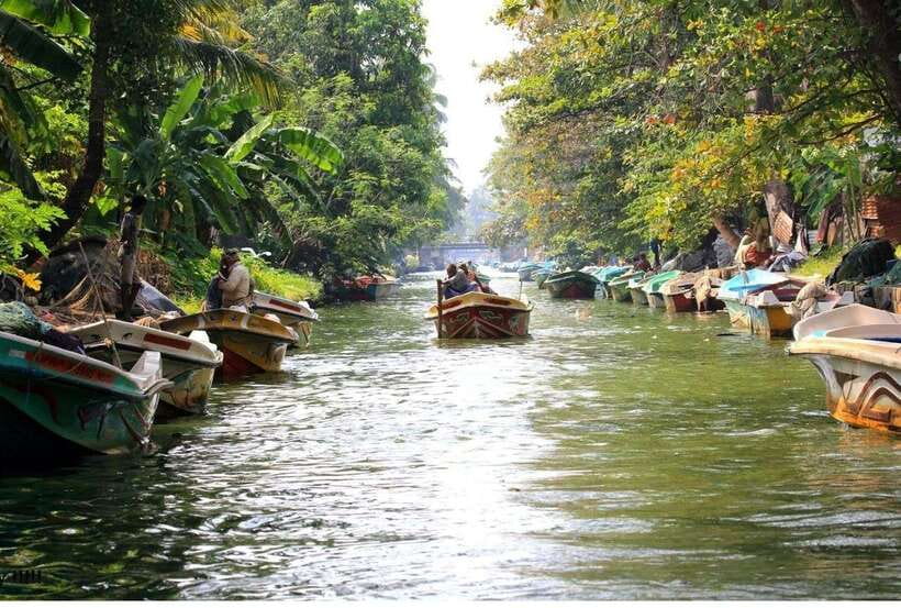 Colombo/Negombo: Muthurajawela & Dutch Canal Boat Adventure - Why the Wetland Is the Main Event
