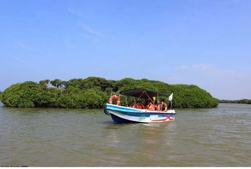 Colombo/Negombo: Muthurajawela & Dutch Canal Boat Adventure - From Wildlife to the Dutch Canal