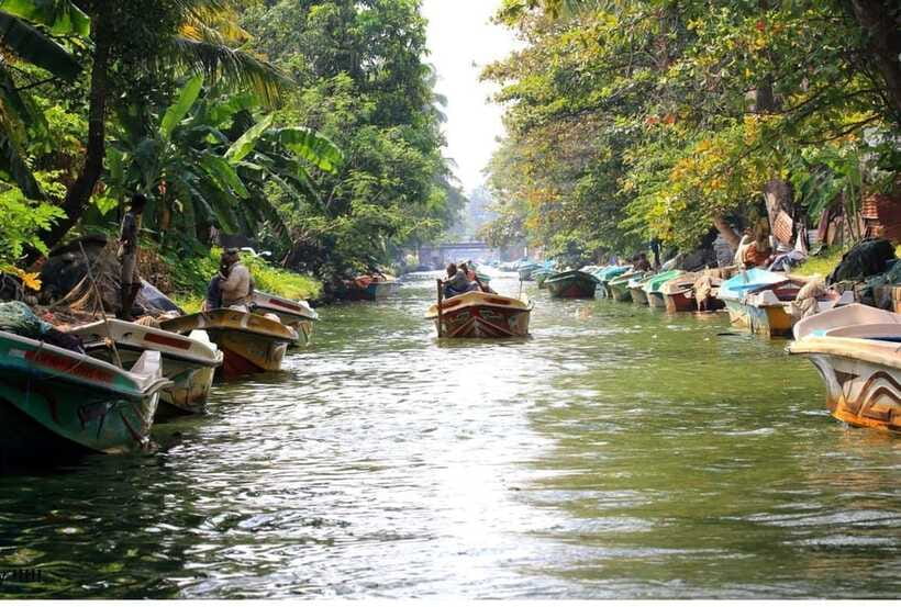 Colombo/Negombo: Muthurajawela & Dutch Canal Boat Adventure - Practical Tips for a Better Morning
