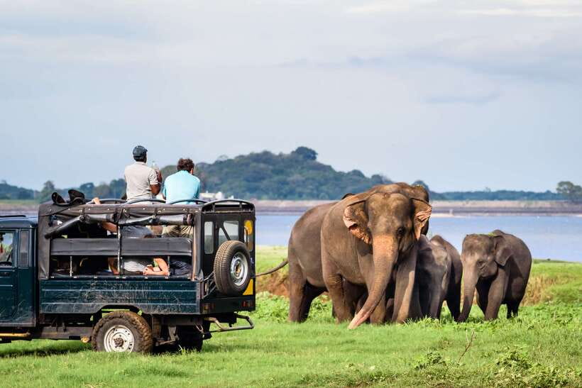 Colombo/Negombo: Sigiriya, Dambulla, and Minneriya Safari - Lunch at a local restaurant