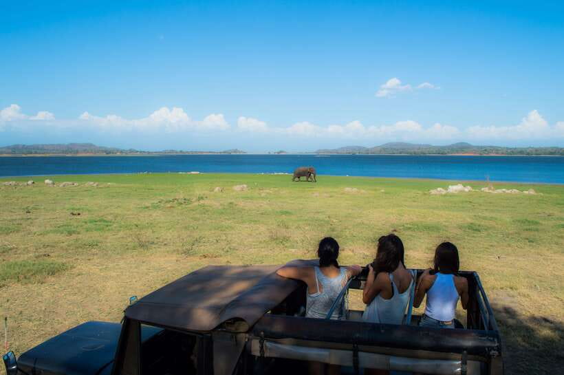 Colombo/Negombo: Sigiriya, Dambulla, and Minneriya Safari - Small details that make the day easier