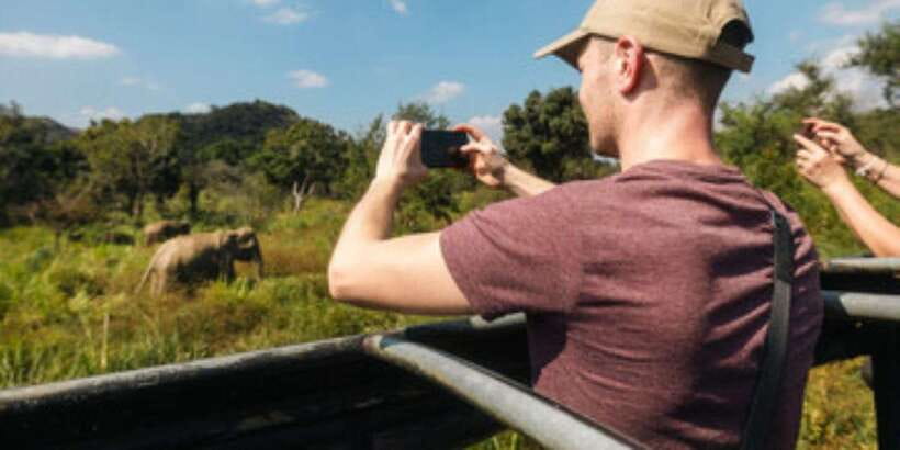 Colombo/Negombo to Sigiriya, Dambulla & Jeep Safari Day Tour - Climbing Sigiriya Lion Rock