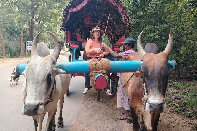 Colombo , Negombo to Trincomalee Transfer and Safari - Who will enjoy this transfer most?