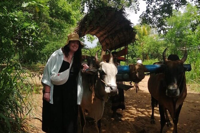 Colombo , Negombo to Trincomalee Transfer and Safari - What the private vehicle changes