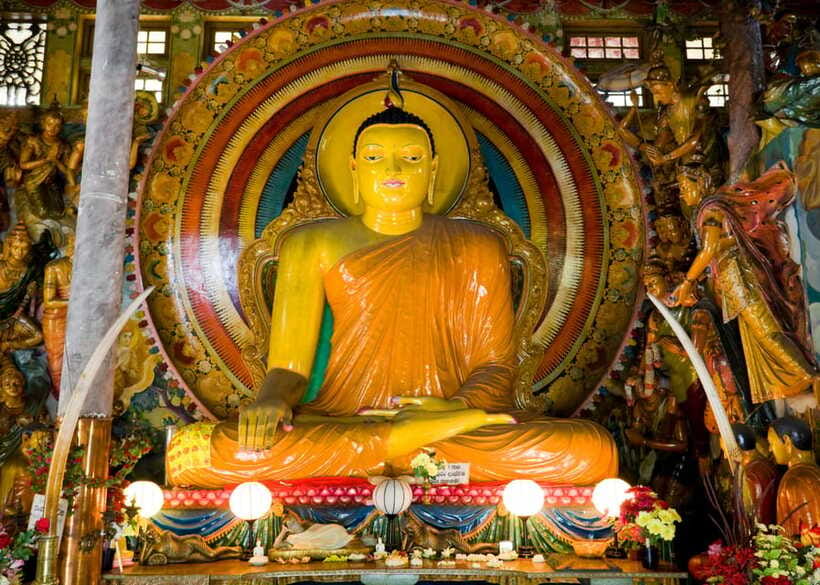 Colombo: One Day Private City Tour With Gangaramaya Temple - What $60 per person really buys you