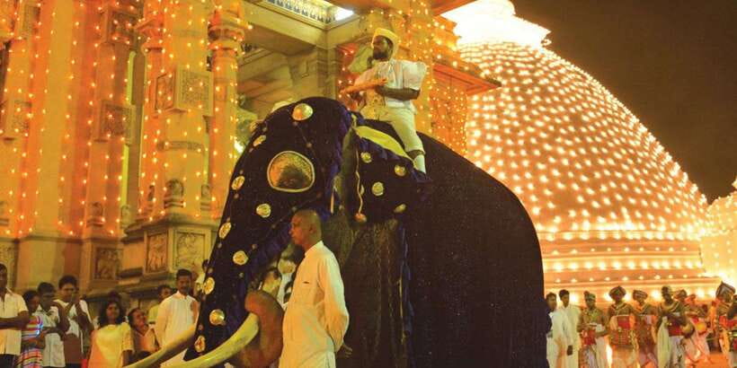 Colombo Port Shore Excursions Colombo City & Kalaniya Temple - Key points at a glance