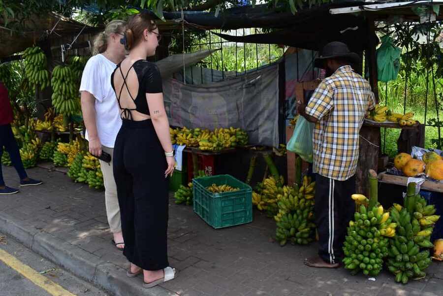 Colombo: private city tour from Negombo with hotel transfers - Colombo Fort, the Dutch Hospital, and old city streets