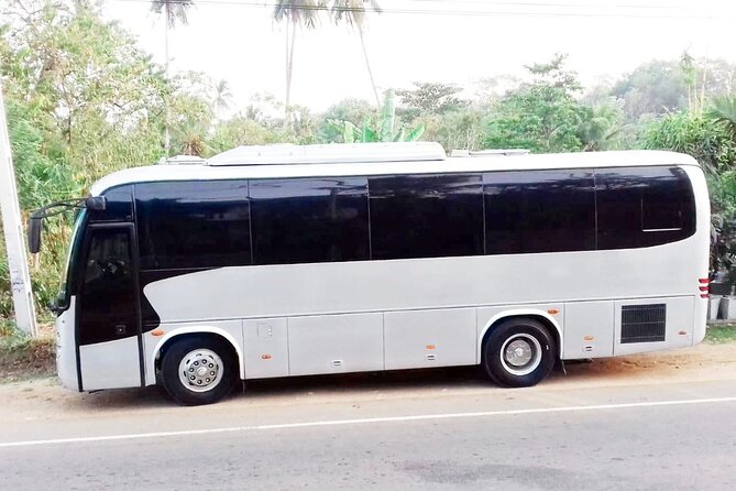 Colombo to Kandy Bus (Reserved Seats) - Air Conditioned - What the three to four hour journey is like