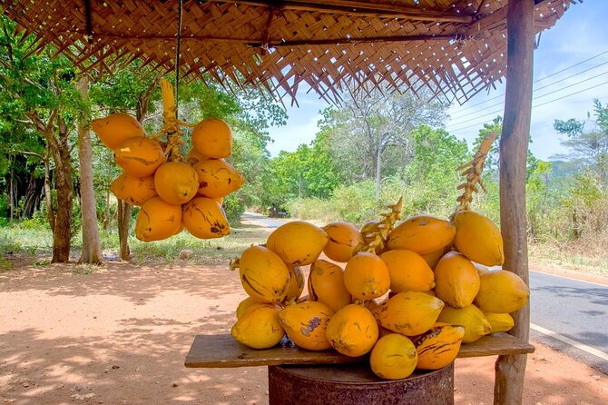 Colombo Tuk Tuk Adventure Explore Food & Culture - Pettah and the first taste of street food