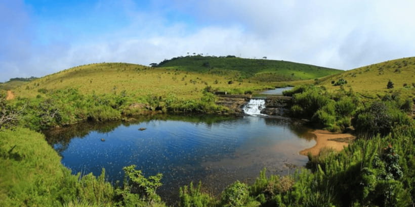 Comprehensive Excursion: Horton Plains and Pedro Tea Factory - A full hill-country day from Nuwara Eliya