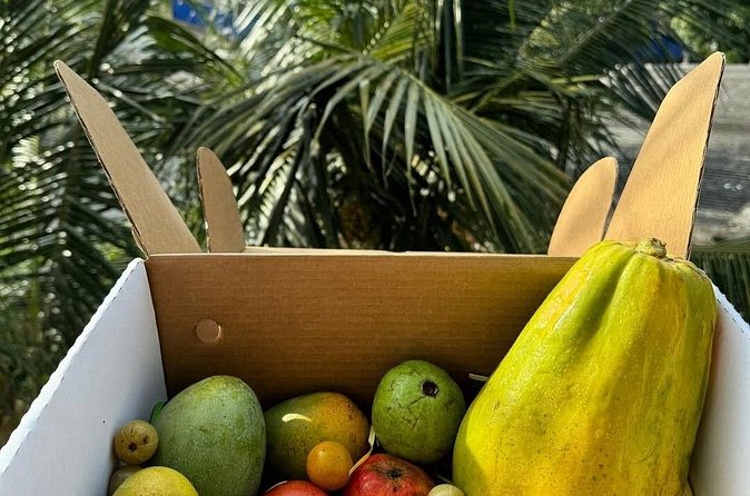 Cooking Class and Market Visit in Negombo - Timing, pickup, and the private format