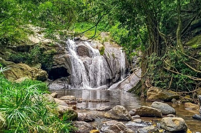 Customized Multi-Day Private Tour Packages in Sri Lanka - What the $375 price really covers