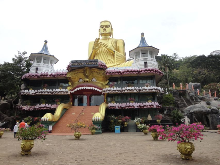 Dambulla: Cave Temple and Village All-Inclusive Tour - Timing, Transport, and Pace