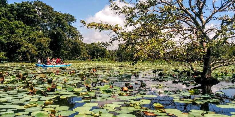 Dambulla: Cave Temple and Village All-Inclusive Tour - Who Will Enjoy This Day Most?