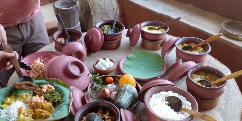 Dambulla: Caves Temple & Traditional Village Tour with Lunch - Key points to know before booking