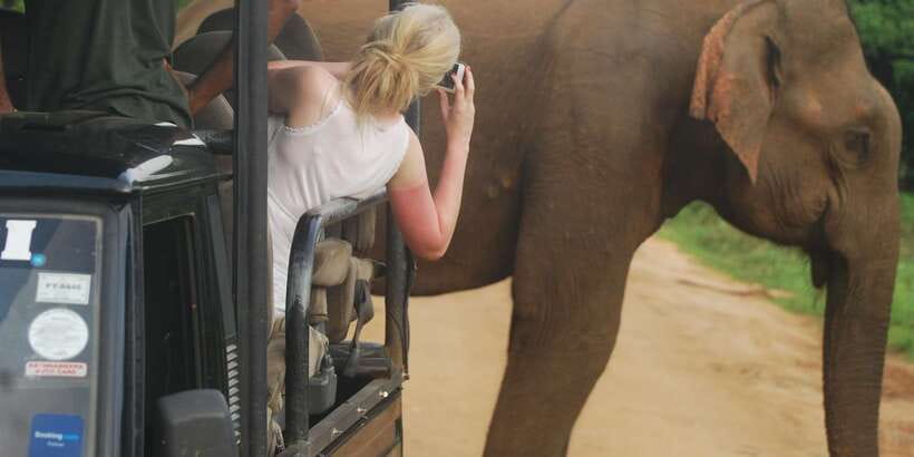 Day Safari From Hambantota - Pickup from a cruise ship, hotel, or local address