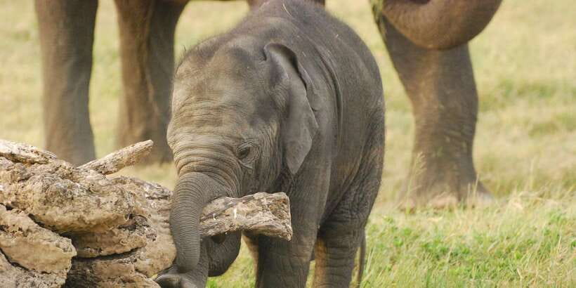 Day Safari From Hambantota - Booking flexibility and group details